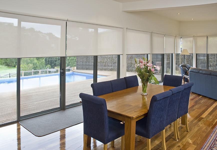 Roller Shades or blinds