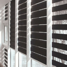 Zebra Blinds shades